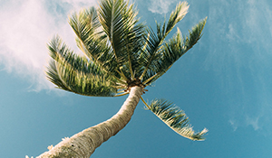 14 Tage AIDAbella inkl. Flüge 