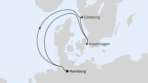 Festival Cruise