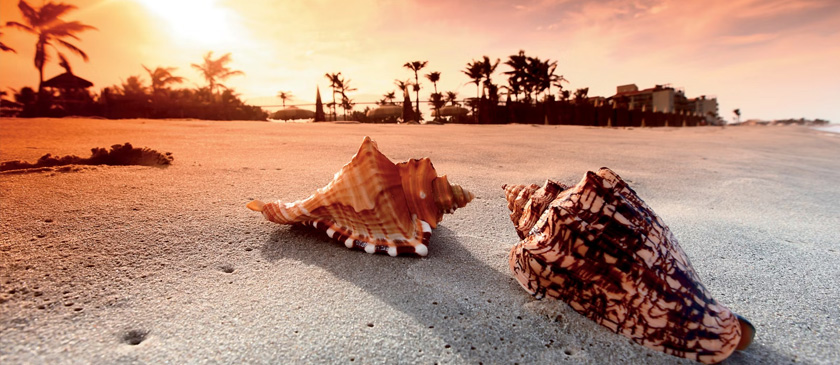 Grosse Winterpause Brasilien im Winter 27/28